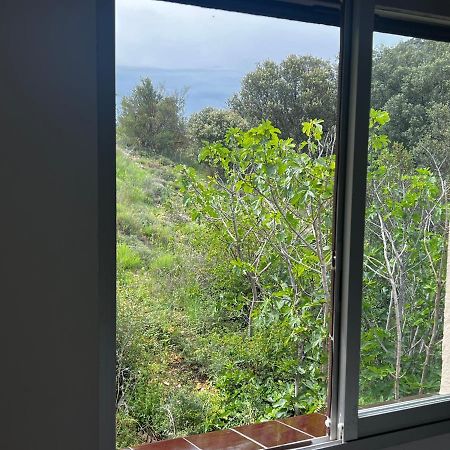 Corca  Apartaments La Pertusa 2O מראה חיצוני תמונה